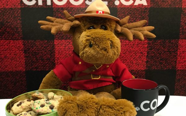 9 great Canadian cookies
