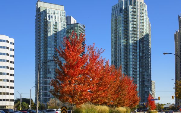 Mississauga joins growing list of partners for CIRA’s Internet Performance Test