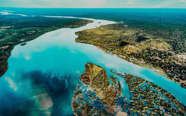 CIRA commits to a greener internet through new environmental sustainability strategy