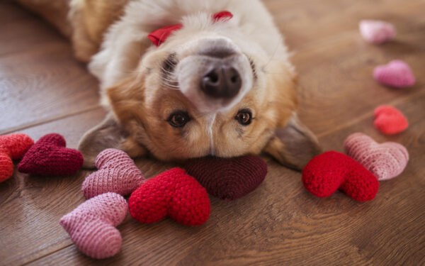 Les 25 meilleurs cadeaux canadiens pour tous pour la Saint-Valentin