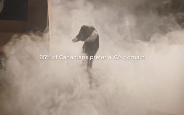 Side hustlers are growing in Canada, and they can appeal to their Canadian customers with a .CA domain