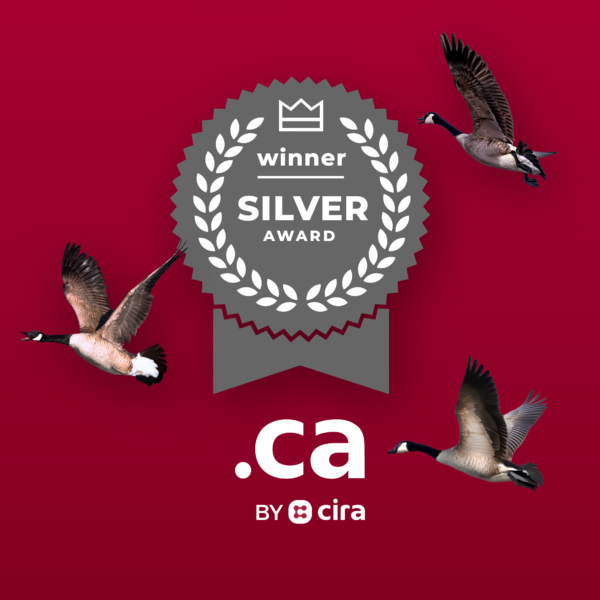 CIRA’s Listen to the goose campaign soars, wins silver at the 2023 Canadian Marketing Association Awards