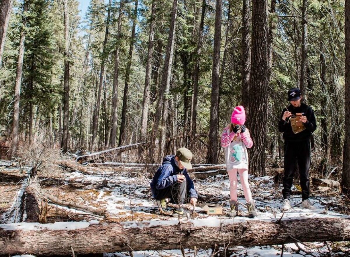 March Break Activity, Jointhewildlife.ca
