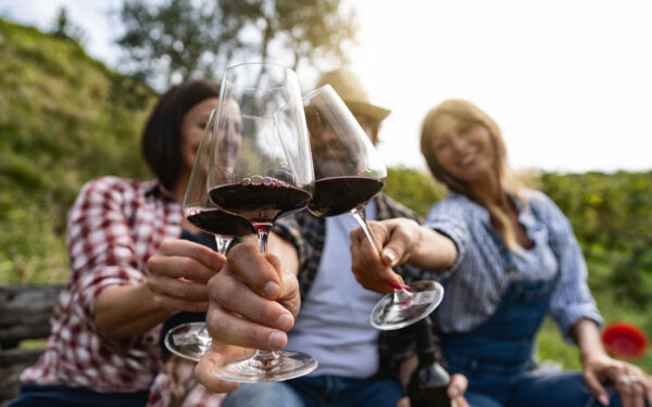 Sept meilleurs vignobles que vous devez essayer au Canada
