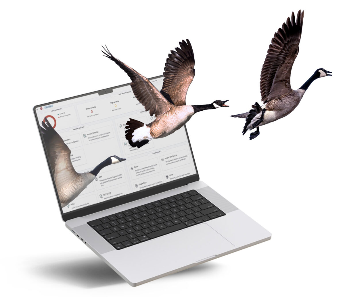 Fiercely Canadian Laptop