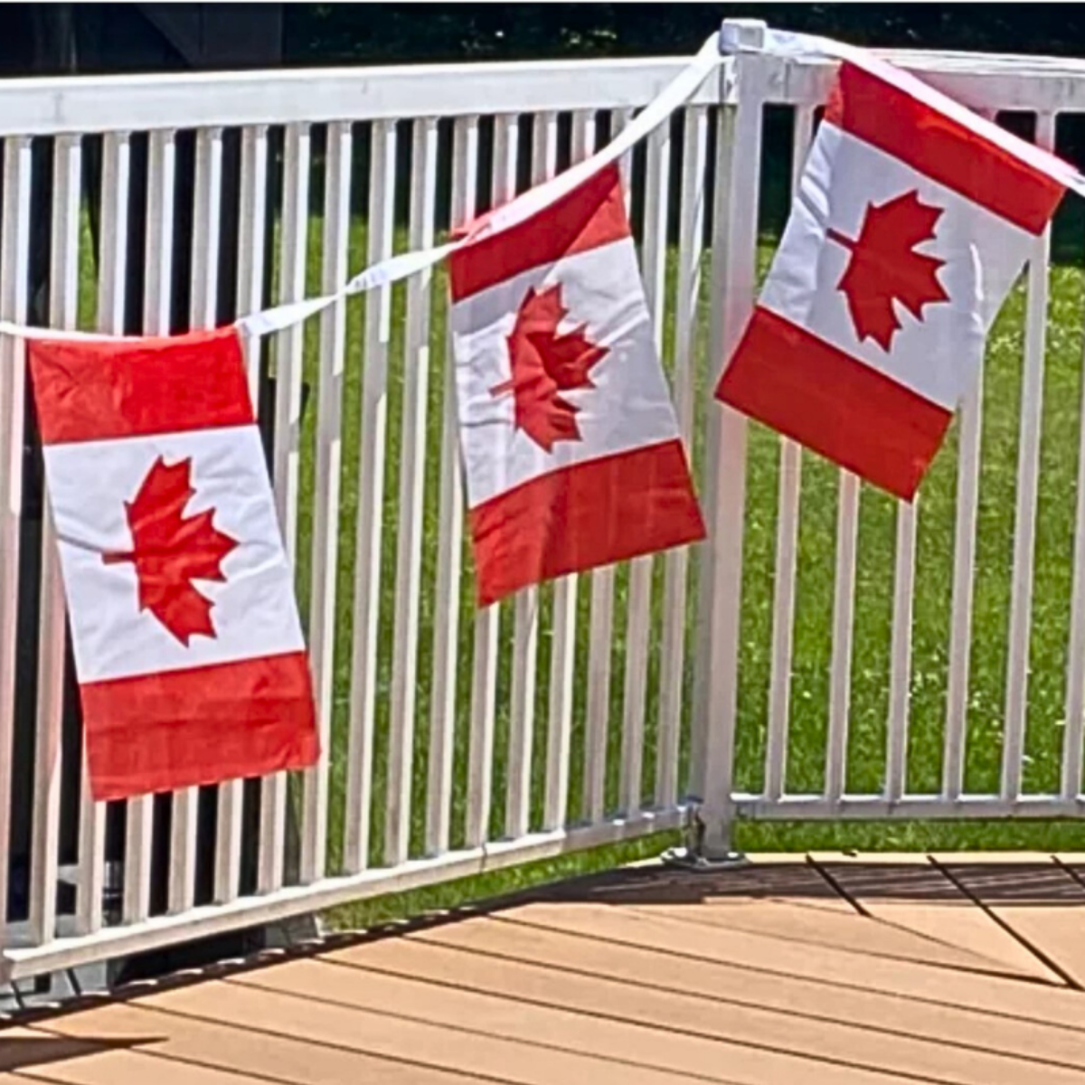canada flag pennant banner