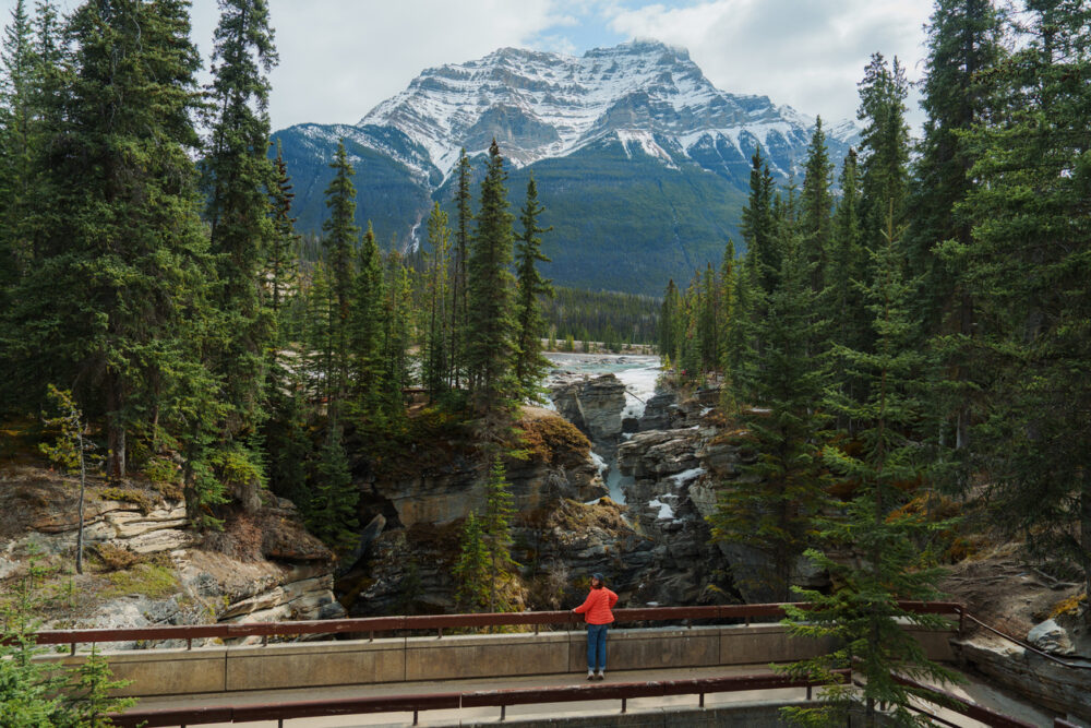 Johnston Canyon Hike in banff national park