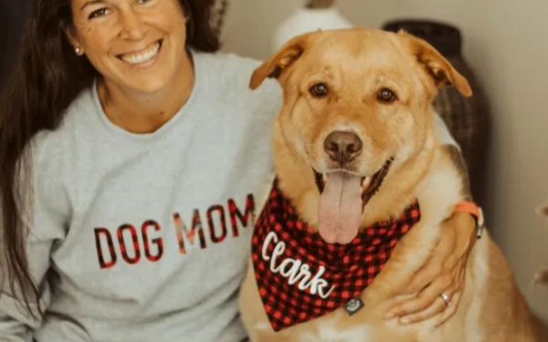 Doggonegear