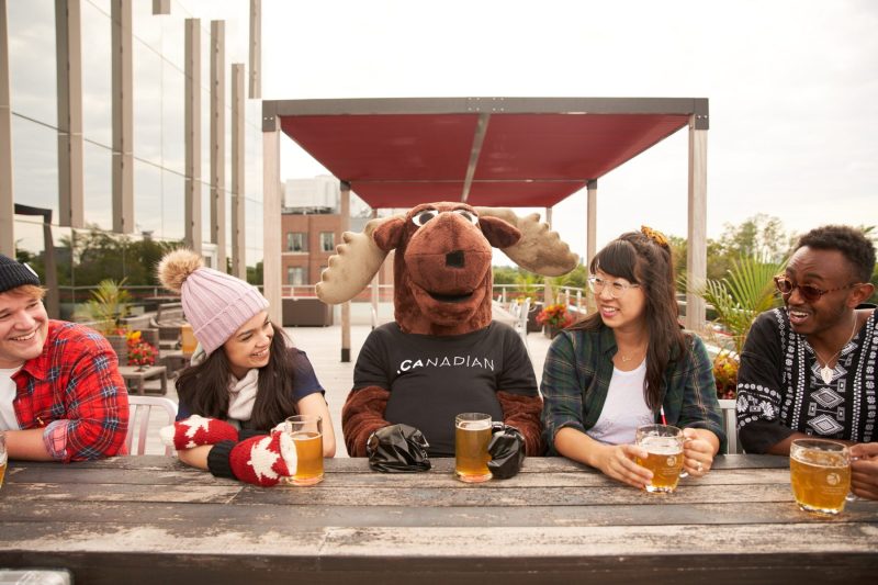 Moose enjoys beer with friends