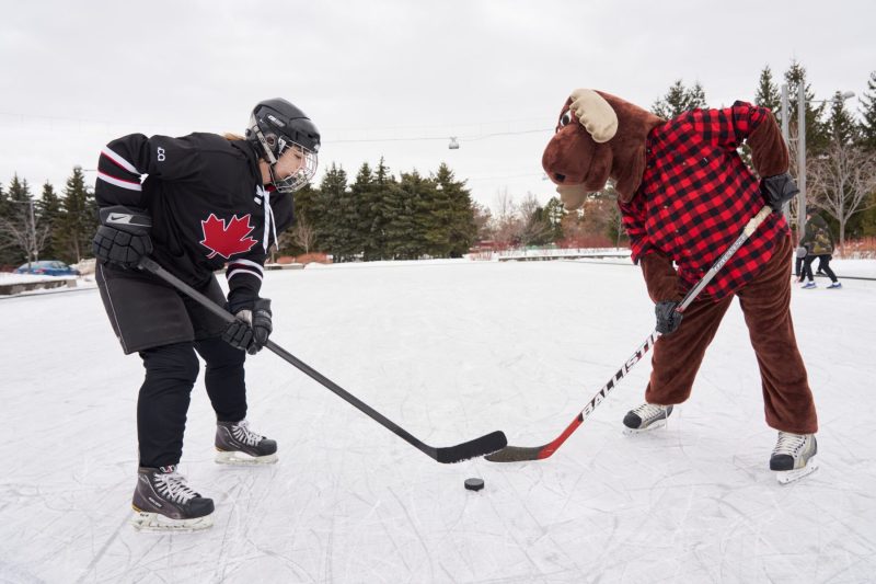 Moose and hockey player face off