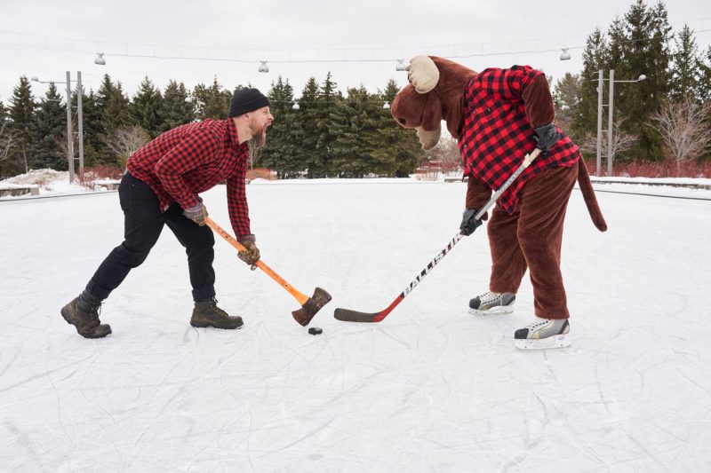 Moose prepares for faceoff with confused lumberjack